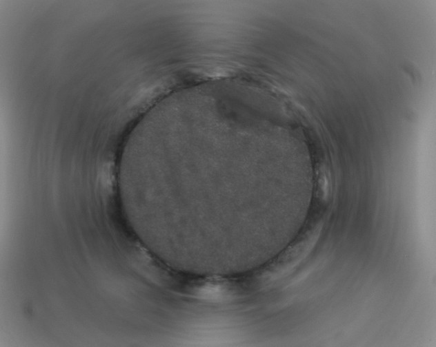 X0000113550612200910161435