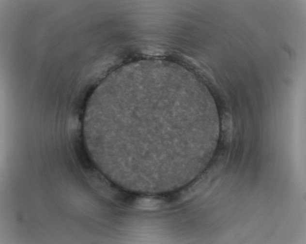 X0000113550614200910161435