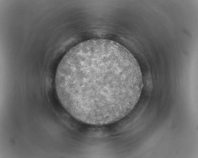 X0000113550615200910161435