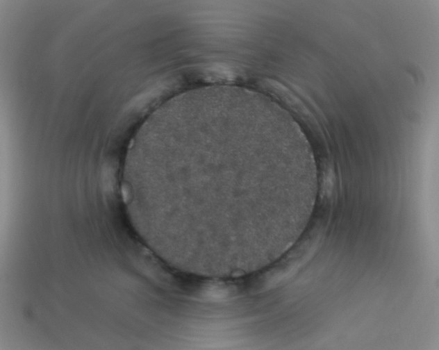 X0000113550616200910161435