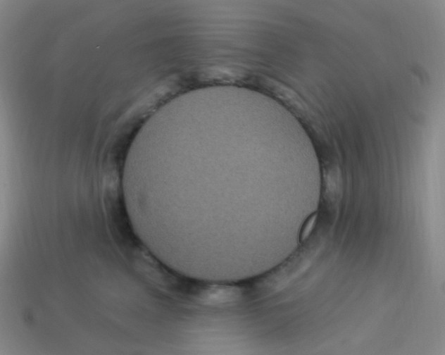 X0000113550617200910161435
