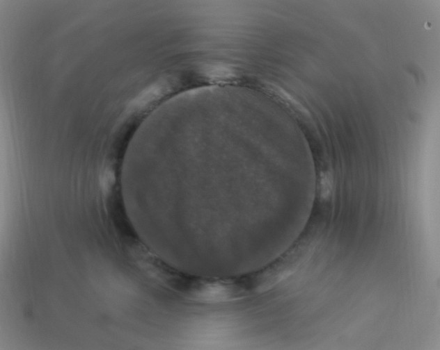X0000113550618200910161435