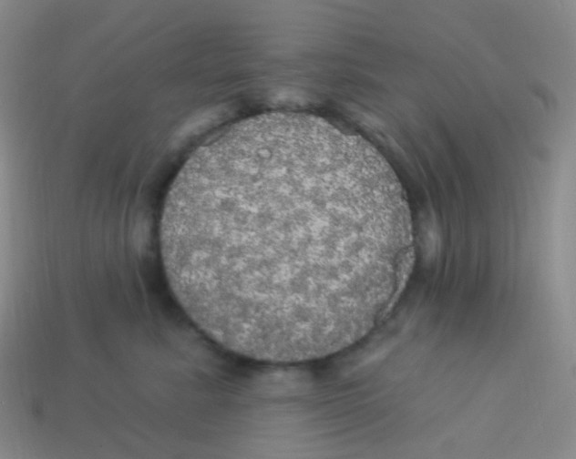 X0000113550619200910161435