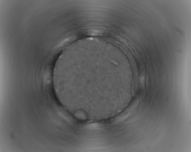 X0000113550620200910161435