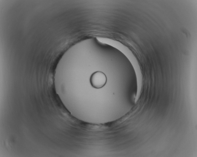 X0000113550621200910161435