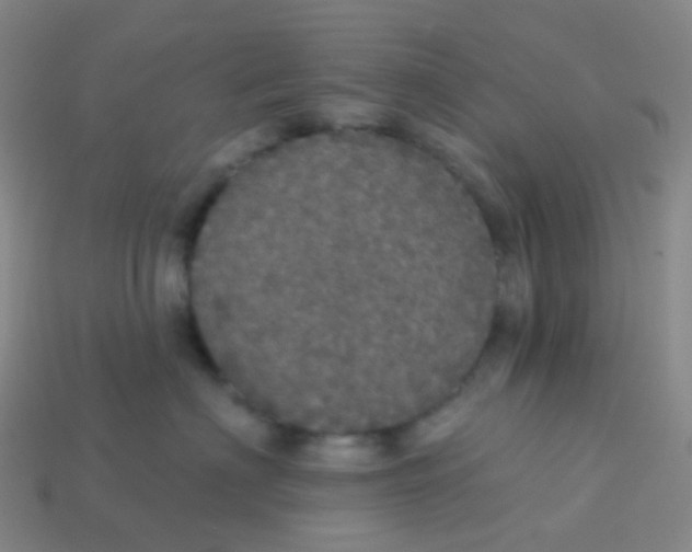 X0000113550622200910161435