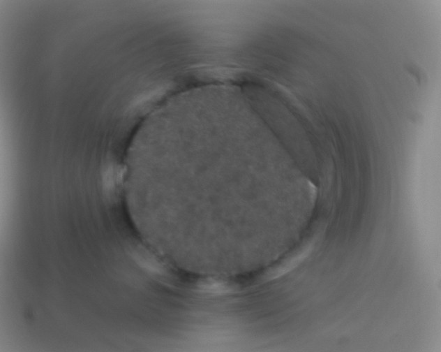 X0000113550624200910161435