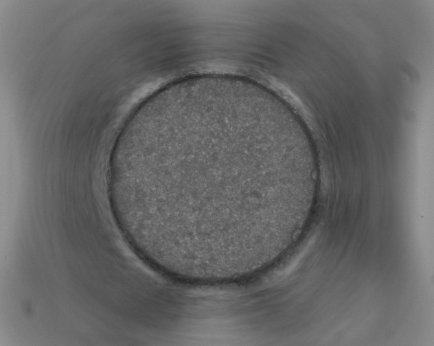 X0000113550625200910161434