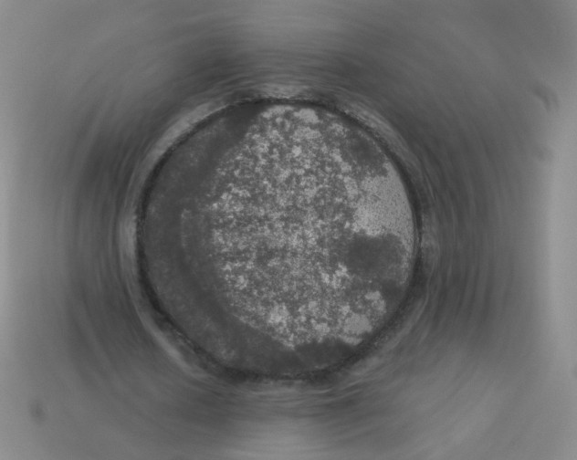 X0000113550626200910161434