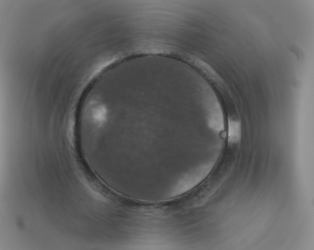 X0000113550627200910161434