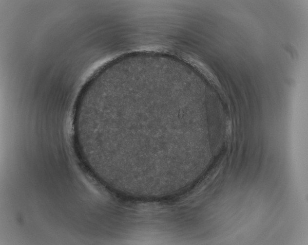 X0000113550628200910161434