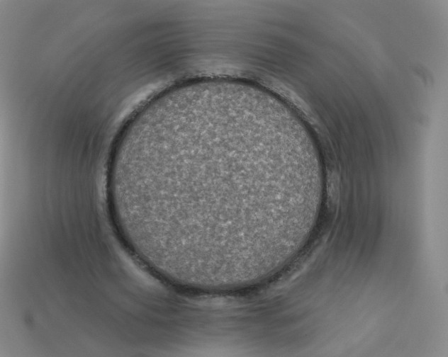 X0000113550629200910161434