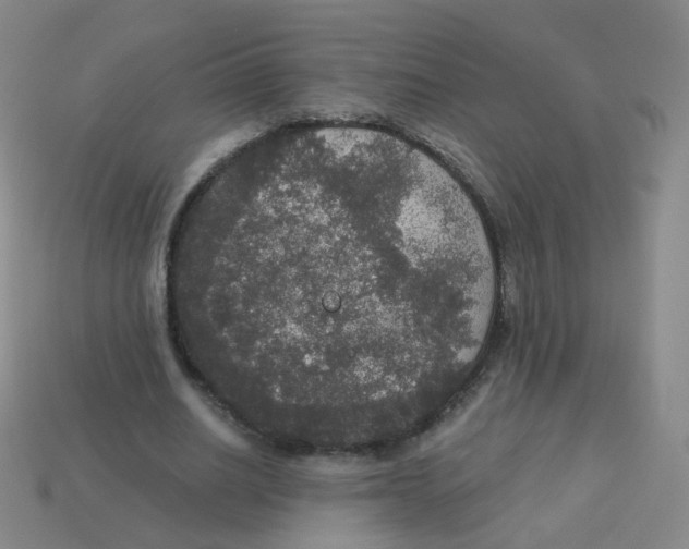 X0000113550630200910161434