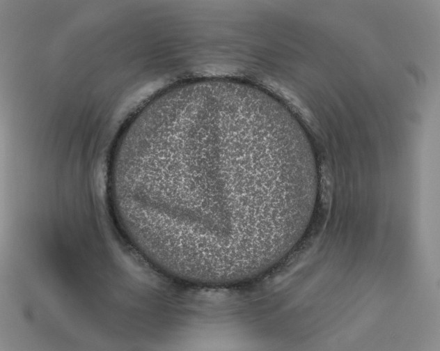 X0000113550631200910161434