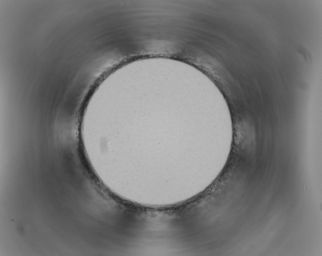 X0000113550632200910161434