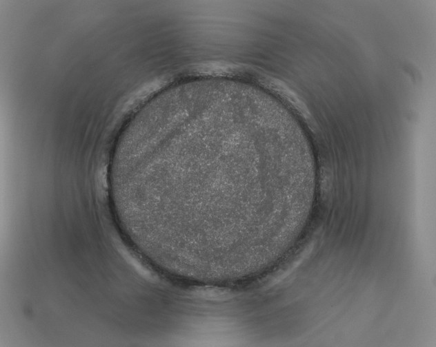 X0000113550633200910161434