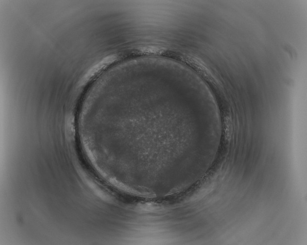 X0000113550634200910161434