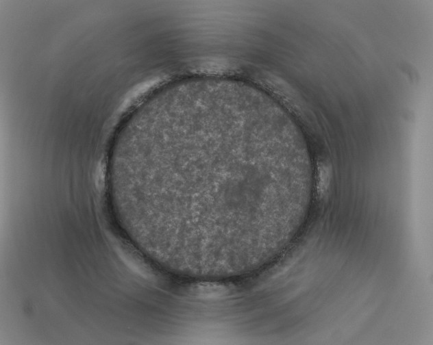X0000113550636200910161434