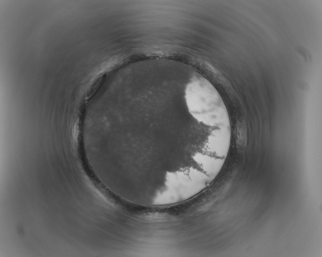 X0000113550637200910161434
