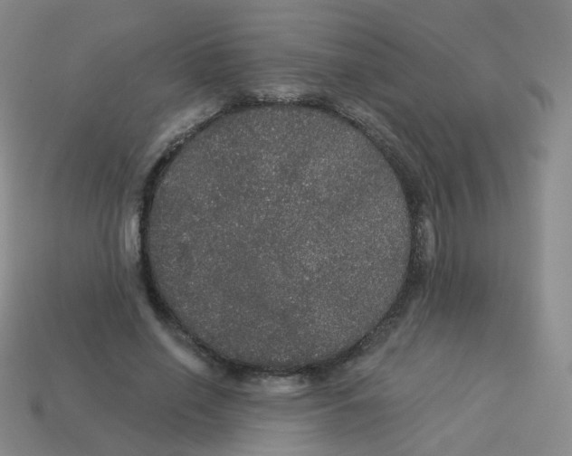 X0000113550638200910161434