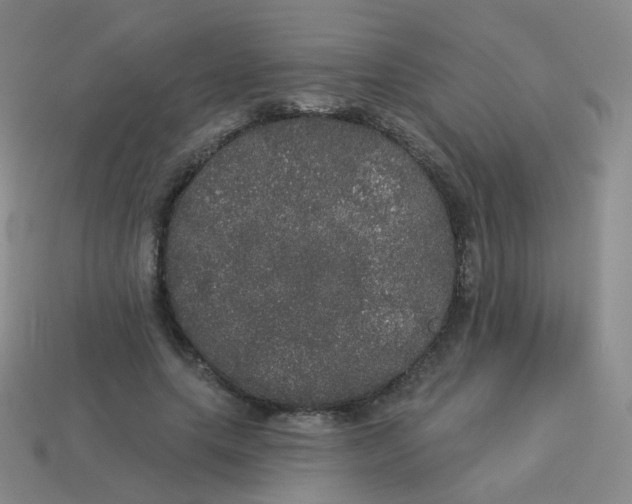 X0000113550639200910161434