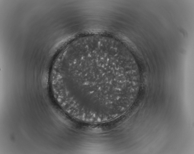 X0000113550640200910161434