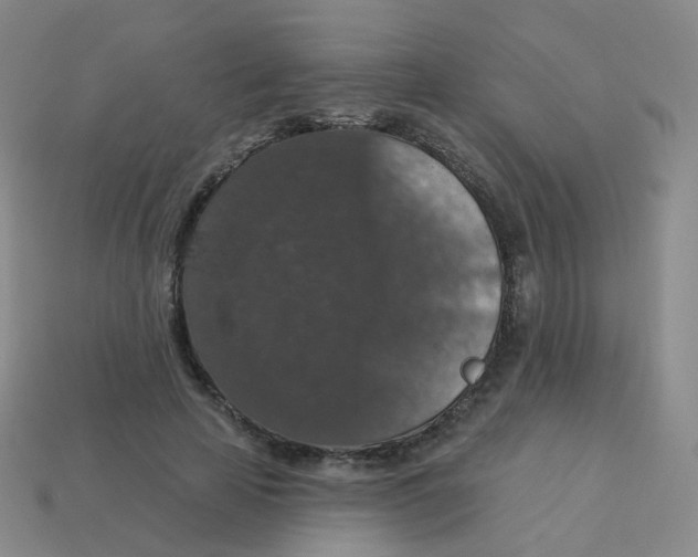 X0000113550641200910161434
