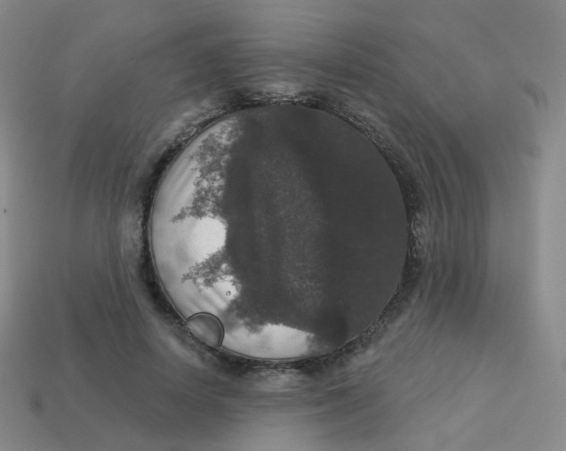 X0000113550642200910161434
