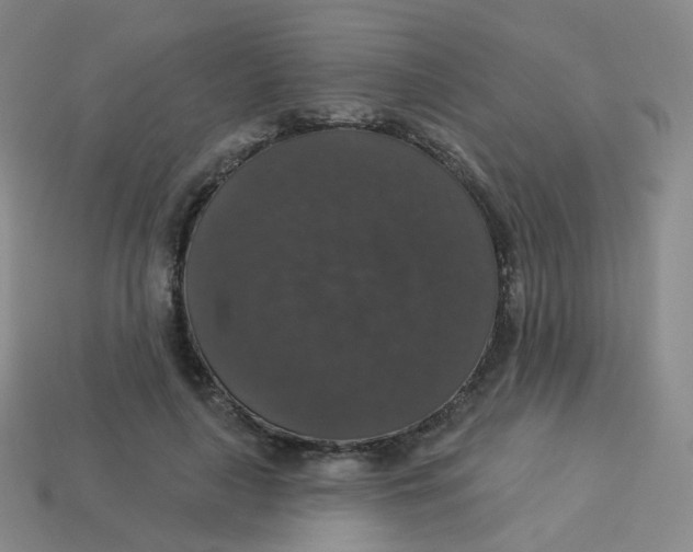 X0000113550643200910161434