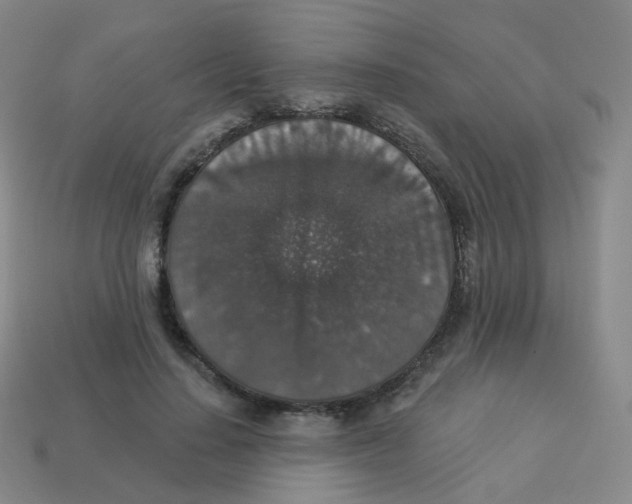 X0000113550644200910161434