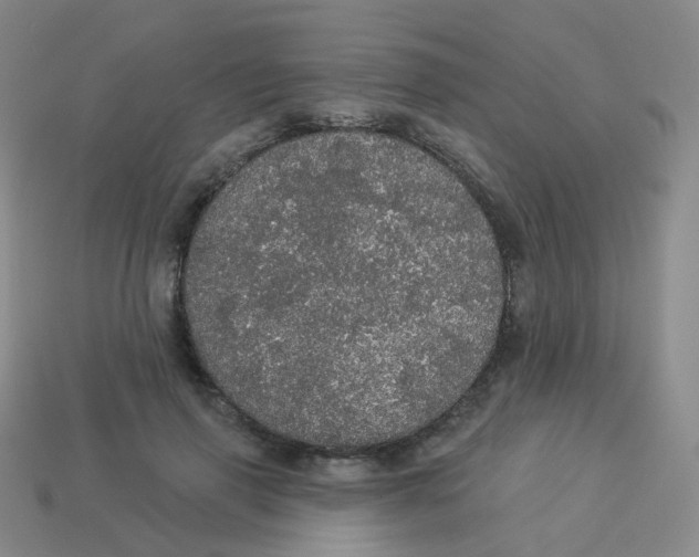 X0000113550645200910161435