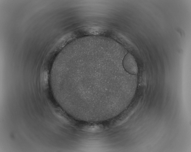 X0000113550646200910161435