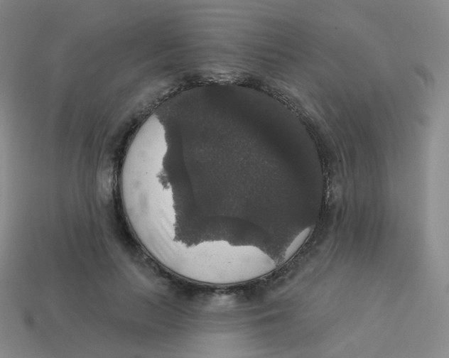 X0000113550647200910161435