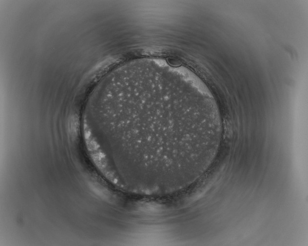 X0000113550648200910161435