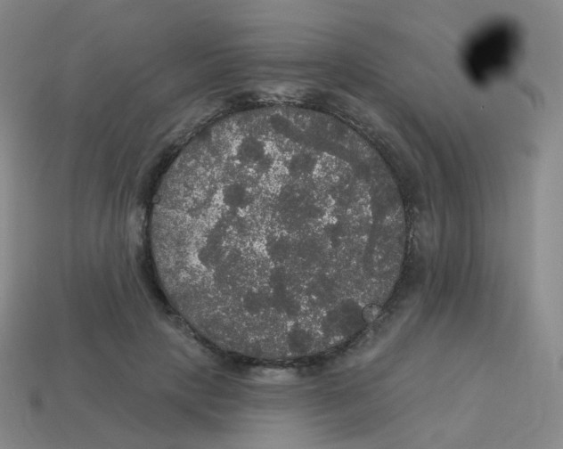 X0000113550649200910161435