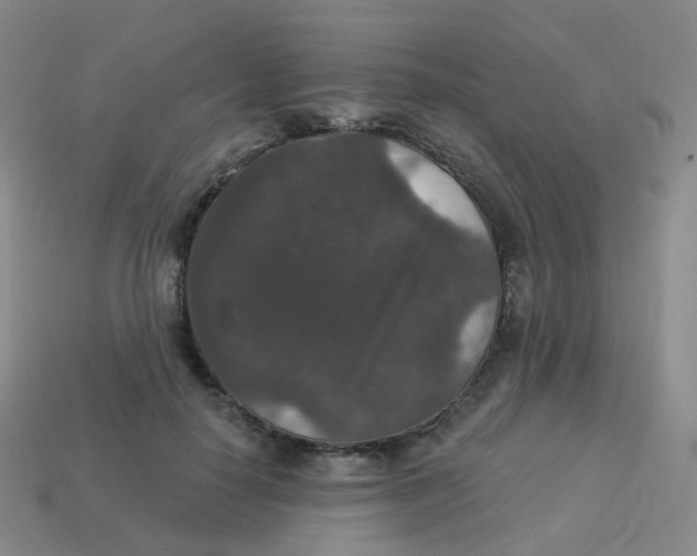 X0000113550650200910161435