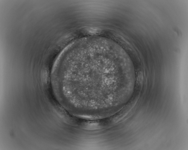 X0000113550651200910161435