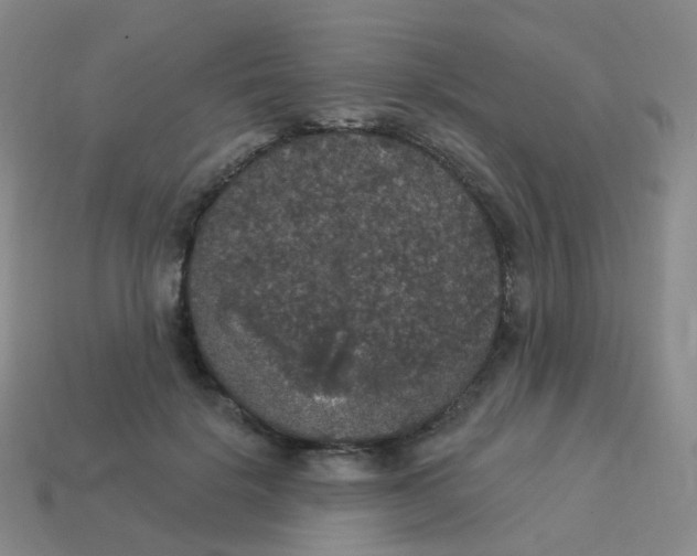 X0000113550652200910161435