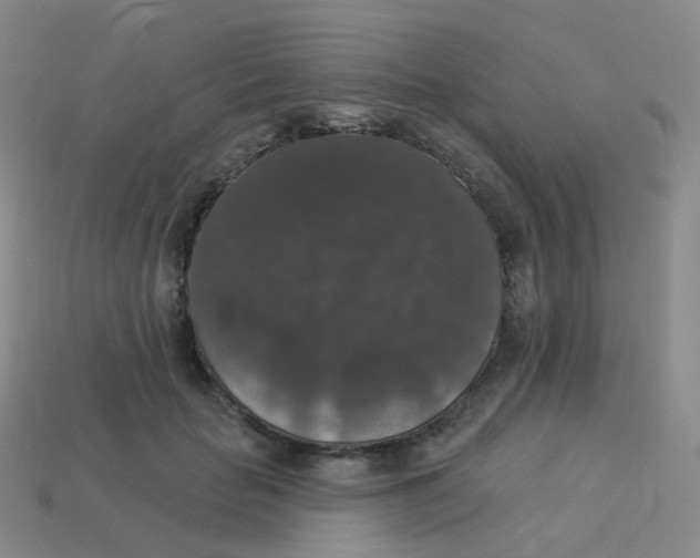 X0000113550653200910161435