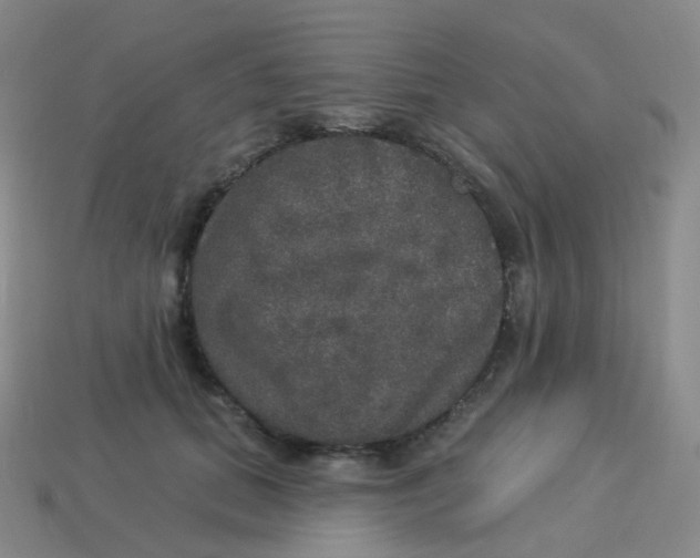 X0000113550655200910161435