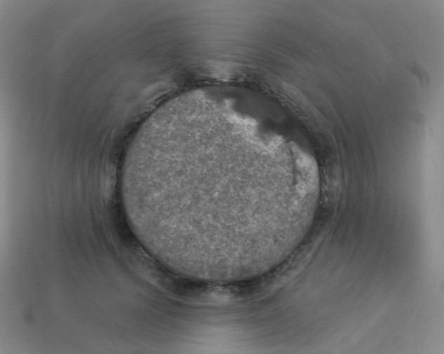 X0000113550656200910161435