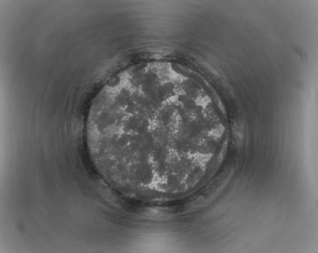X0000113550657200910161435