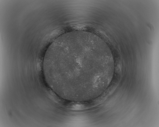 X0000113550658200910161435