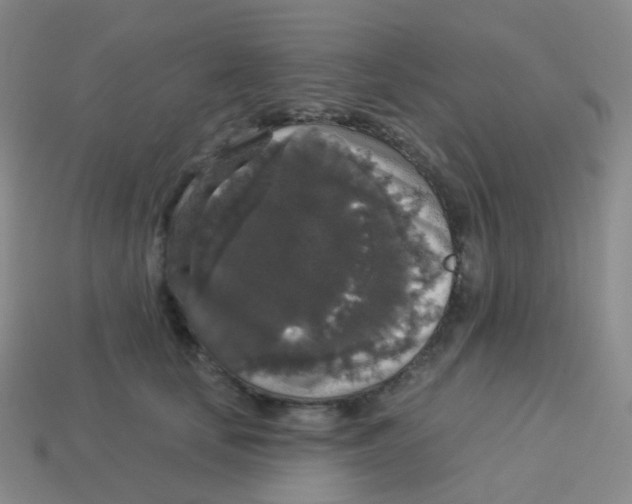 X0000113550659200910161435