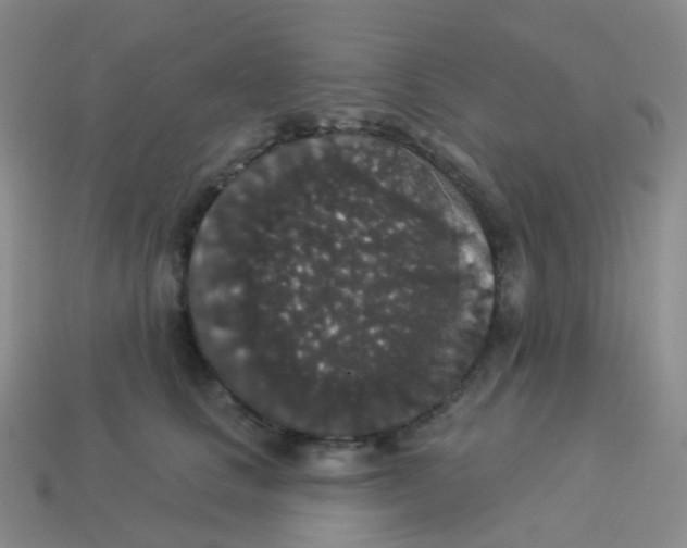 X0000113550661200910161435