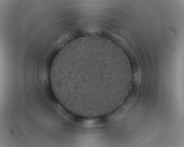 X0000113550662200910161435