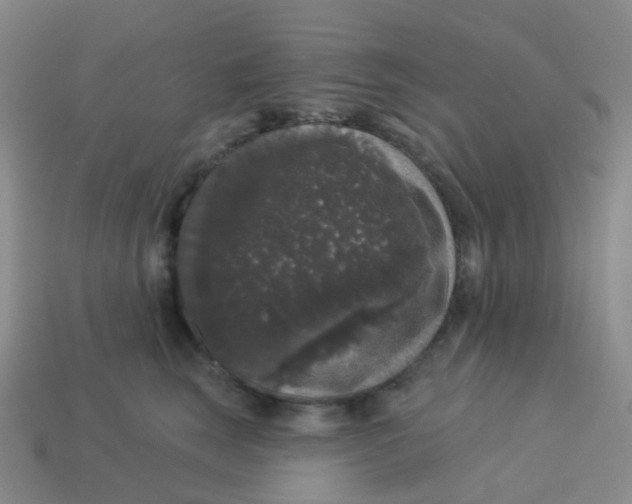 X0000113550663200910161435