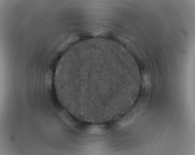 X0000113550664200910161435