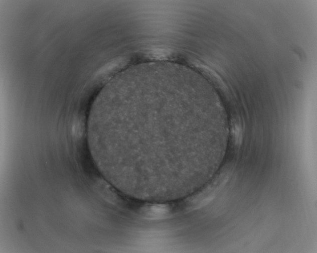 X0000113550665200910161435