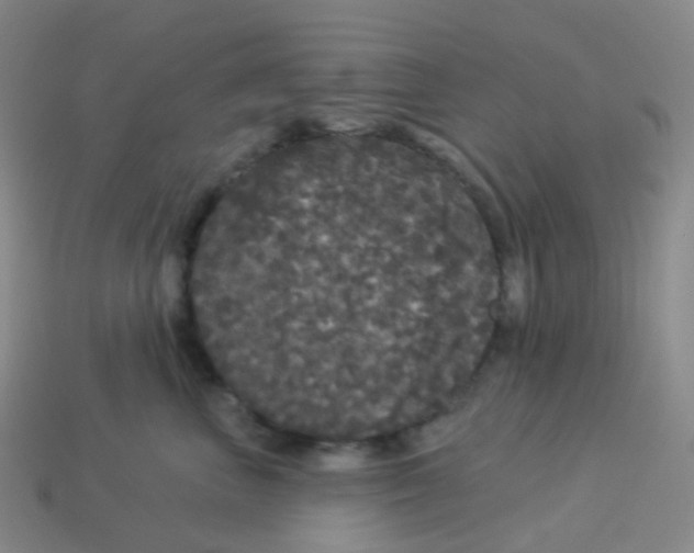 X0000113550667200910161435